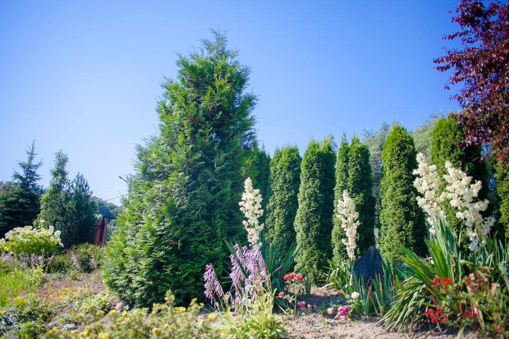 Pansionat Bogema Truskavets Exteriör bild